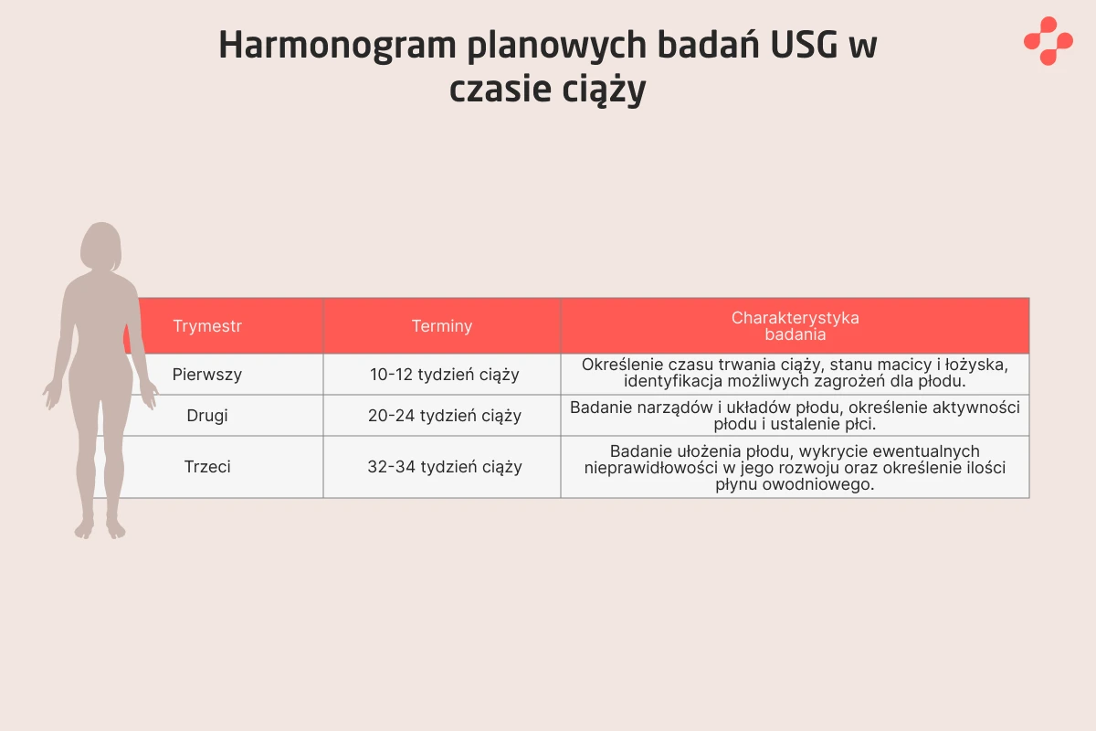 Harmonogram planowych badań USG w czasie ciąży