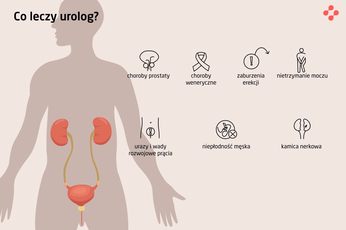 Jakie choroby leczy urolog?