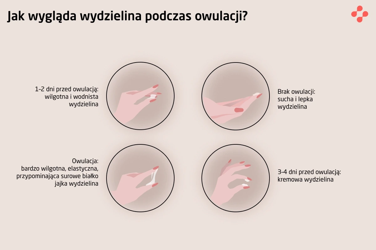 Jak wygląda wydzielina podczas owulacji?