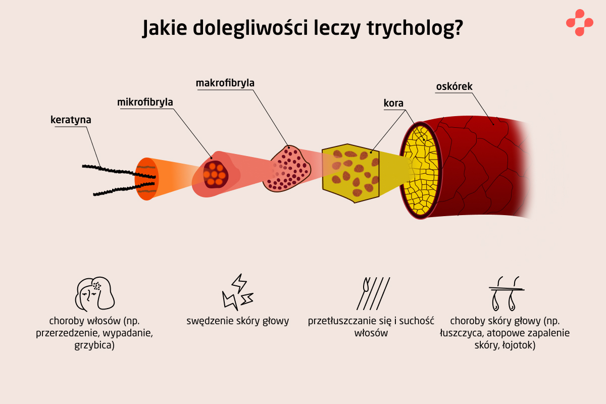 Czym zajmuje się trycholog