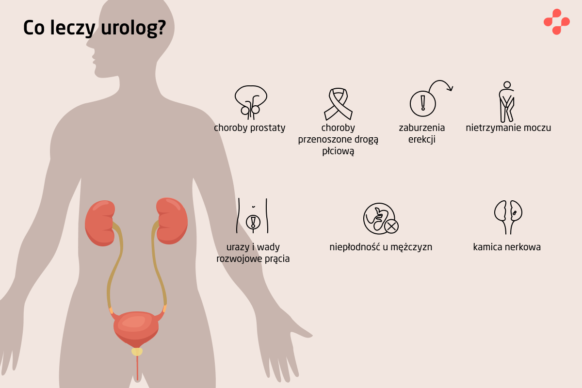 Jakie choroby leczy urolog