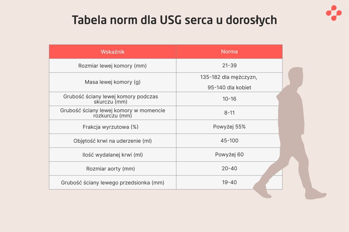 Tabela norm dla USG serca u dorosłych